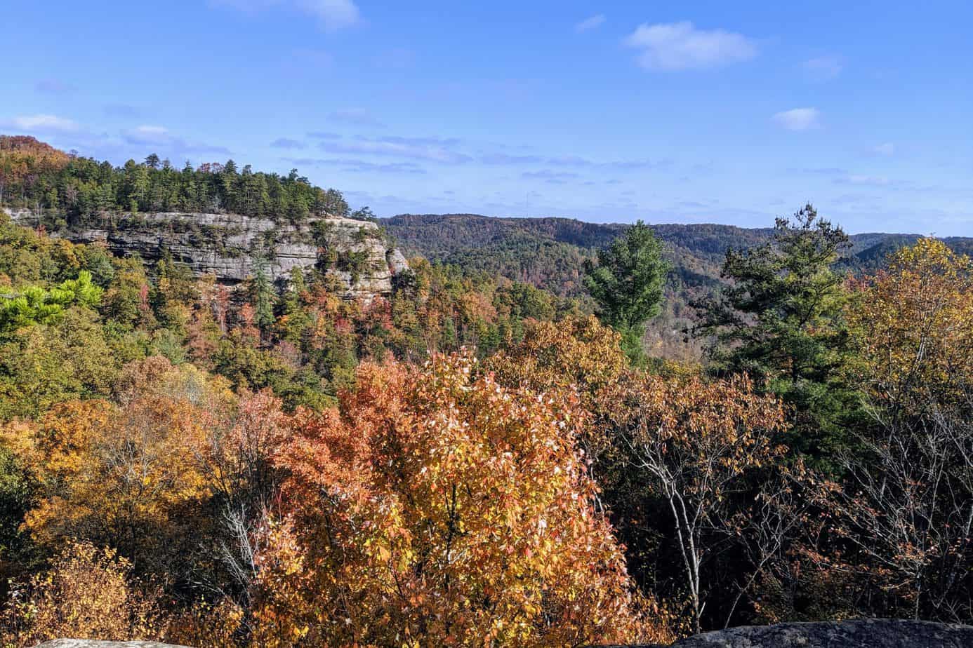 View of the Red River Gorge from Natural Bridge