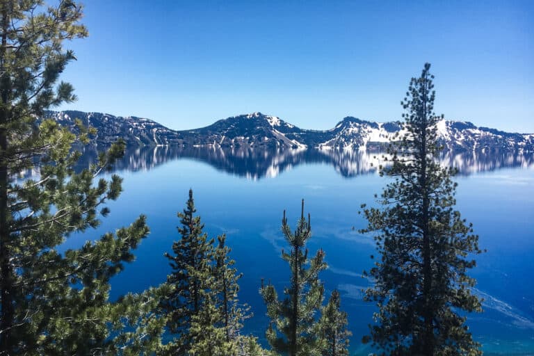 Crater Lake with reflection on clear water. The sky and lake are vibrant blue with snow on the mountains and trees in the foreground.