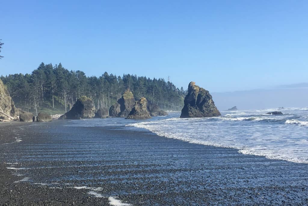 Sea stacks on the beach in Olympic National Park. A blue sky and trees are behind them.
