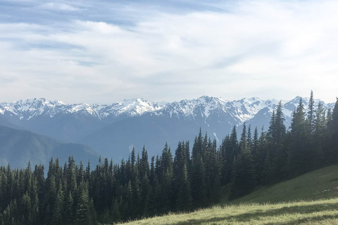 Hurricane Ridge View. Snow-capped rigged mountains under a cloudy sky. With pine trees and a meadow in te foreground.