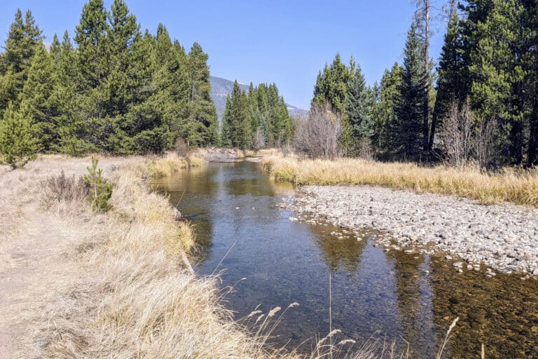 A river runs though a dry plain. Every green trees line the edge of the water.